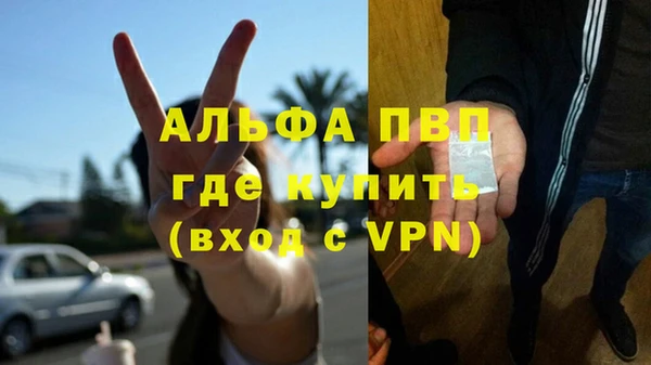 стаф Покровск