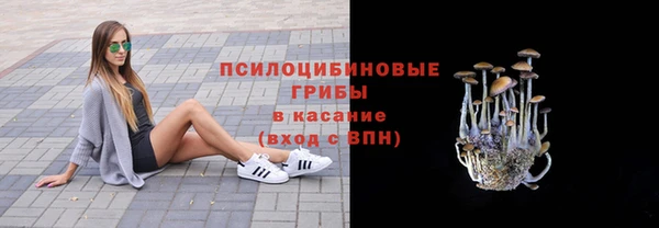 стаф Покровск