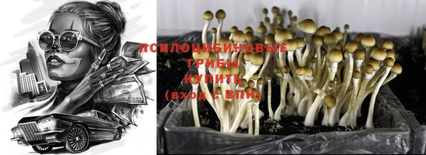 ALPHA-PVP Покачи