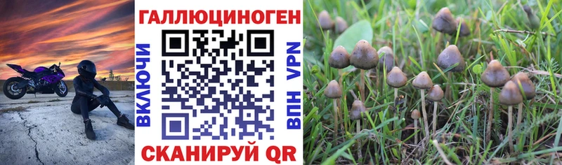 MEGA как войти  Слюдянка  Псилоцибиновые грибы Psilocybe  где продают наркотики 